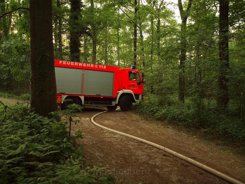 Waldbrand Bergisch Gladbach Bensberg P189.JPG